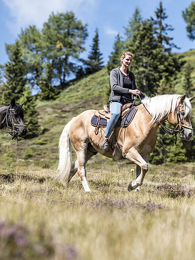 Hotel mit eigenem Reitstall Südtirol