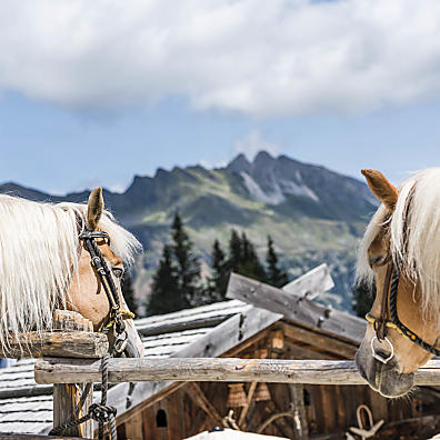 Reiturlaub im Ridnauntal